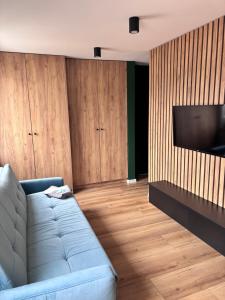 a living room with a couch and a flat screen tv at elli apartament Sieradz in Sieradz