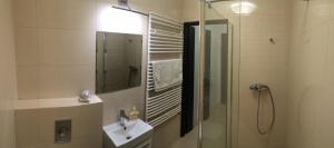 y baño con lavabo y ducha con espejo. en Apartament w Toruniu, en Toruń