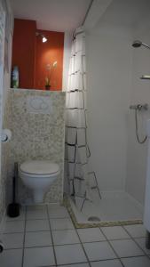 a bathroom with a toilet and a shower at Fachwerkhaus Korntenne in Eimelrod +37 photos