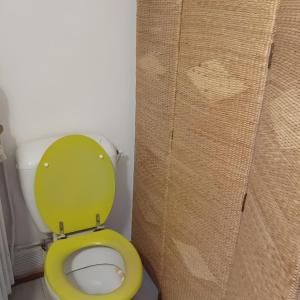 a bathroom with a toilet with a green lid at Gîte Du Recoux in Le Recoux