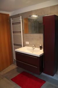 a bathroom with a sink and a mirror and a red rug at Da Lisi in Ugovizza
