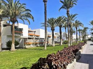 a row of palm trees in front of a building at Residencial Primavera in Arona