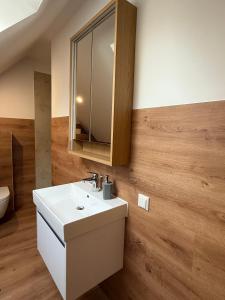 a bathroom with a white sink and a mirror at Ferienquartier alte Bäckerei in Feldberg +7 photos