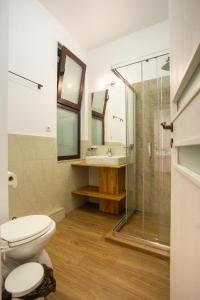 a bathroom with a toilet and a shower and a sink at Margarethengasse Comfort Rooms Old Town in Sibiu