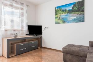 a living room with a television and a couch at Trojer Apartment 1 in Sarntal