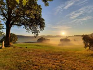 a foggy field with a tree and a sunrise at Ferienhaus Breit in Eppenschlag +16 photos