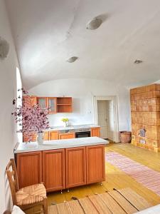 a kitchen with wooden cabinets and a white ceiling at Stúdió apartman in Kővágóörs