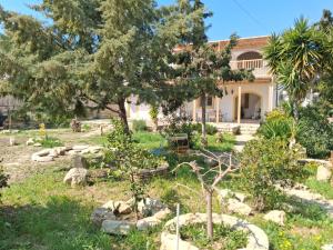 a garden in front of a house at Palatinos I in Pitsidia