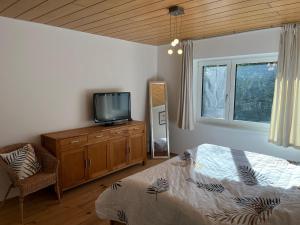 a bedroom with a bed and a tv on a dresser at Ferienwohnung am Rotmannsweg in Marbach am Neckar