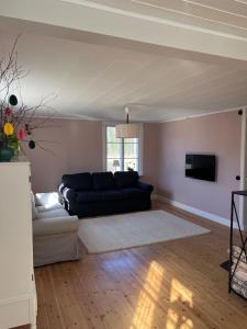 a living room with a couch and a tv at Enskilda stugan in Kärsta