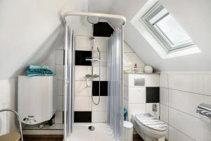 a bathroom with a shower and a toilet at Picco 1 in Beuren +18 photos