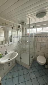 a bathroom with a shower and a sink and a toilet at Reetdachtraum in Middelhagen