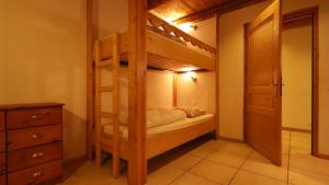 a bedroom with a bunk bed with a ladder at Chalet Alpaga 6 in Bonneval-sur-Arc