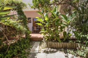 a garden with trees and plants in front of a house at Studio with Private Garden in Lagos