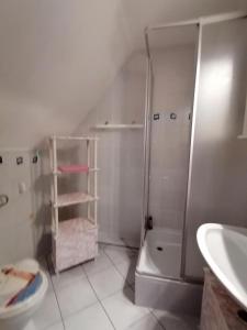 a bathroom with a shower and a toilet and a sink at Haus Am Waldrand in Freital +23 photos
