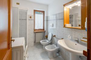 a bathroom with a toilet and a sink and a mirror at Residence Malibu Appartamento 7 in Falcade