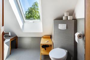 a bathroom with a toilet and a window at Der Flusshof, Ferienhaus in Werben +36 photos
