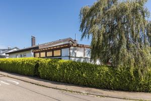 a house with a tree in front of a hedge at Ferienwohnung am Bregenberg in Bräunlingen
