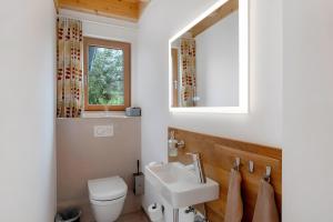 a bathroom with a sink and a toilet and a mirror at Lug ins Tal - Ferienhaus in Baiersbronn +27 photos