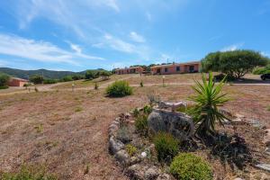 a yard with a house in the background with a plant at Casa Mirto con piscina e vista mare in Aglientu