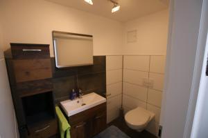 a bathroom with a sink and a toilet and a mirror at Ferienwohnung am Bärenstein in Bärenstein +23 photos