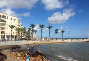 a view of a beach with palm trees and a building at Villa with private pool - near golf in San Miguel de Salinas