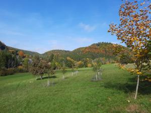 a field with trees in the grass with mountains in the background at Ferienwohnung Im Eyachtal in Albstadt