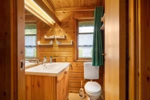 a bathroom with a sink and a toilet in a log cabin at Hüssli Numero 1 in Hayingen +25 photos