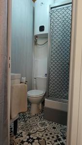 a bathroom with a toilet and a shower at Appartement 4 pers Montagne -draps et serviettes non fournis- in Eaux-Bonnes +9 photos