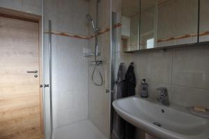 a bathroom with a shower and a sink at Ferienwohnung Oberpfälzer Wald in Vohenstrauß +25 photos