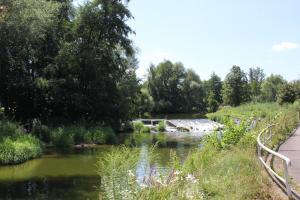 a river in a park with a bridge and trees at Ferienwohnung Am Wehr in Georgensgmünd