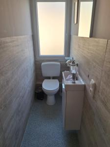a bathroom with a toilet and a window and a sink at Ferienwohnung Schatzkammer in Walporzheim