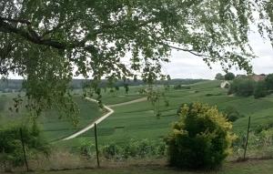 a road in the middle of a green field at Aux souvenirs d'Antan in Broyes +2 photos
