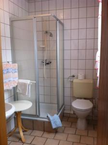 een badkamer met een douche, een toilet en een wastafel bij Zur Burg Eltz in Moselkern