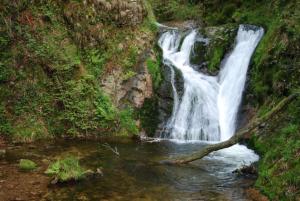 a waterfall on the side of a mountain at Ferienwohnung Huber in Oppenau +3 photos
