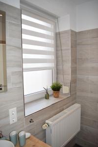 a bathroom with a window with a plant on a shelf at Ferienwohnung Jacobi in Weißenfels +21 photos