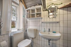 a small bathroom with a toilet and a sink at Ferienwohnungen Am Westerdeich in Rodenäs +61 photos