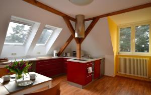 a large kitchen with red cabinets and windows at Apartment Alter Fritz in Potsdam