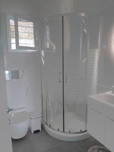 a bathroom with a shower and a toilet and a sink at Limani Cottage in Steni Vala Alonissos