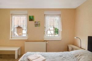 a bedroom with a bed and two windows at Haus am Rand des Harz in Bad Lauterberg