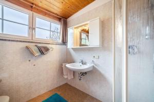 a bathroom with a sink and a mirror at Lingerhof Alpenrose in Meltina +19 photos