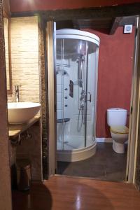 a bathroom with a shower and a sink and a toilet at Reoyo 2 in Mambrilla de Castrejón