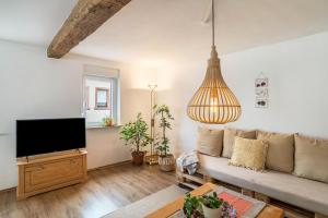 a living room with a couch and a flat screen tv at Pfälzerwald Idyll in Schwanheim