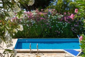 a blue swimming pool with pink flowers and bushes at Fresia Quadrilocale in Marina di Grosseto