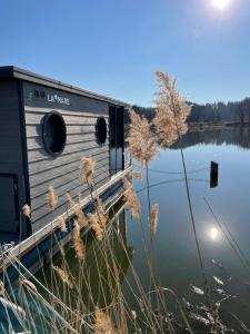 a house on a lake with weeds in the foreground at Hausboot Schwanennest in Kirchberg an der Raab