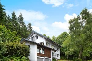 a house in the woods with trees at Feldbergstern in Feldberg