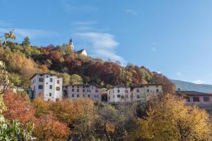 a group of buildings on a hill with trees at Casa di Ada in Segonzano