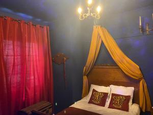 a bedroom with a bed with a canopy at Le refuge des Mans-raudeurs in Le Mans