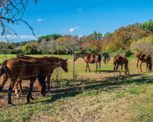 a group of horses in a field behind a fence at Granados in Fuenteheridos