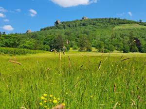 a field of tall grass with a hill in the background at Ferienwohnung Sauerland Feeling in Olsberg
